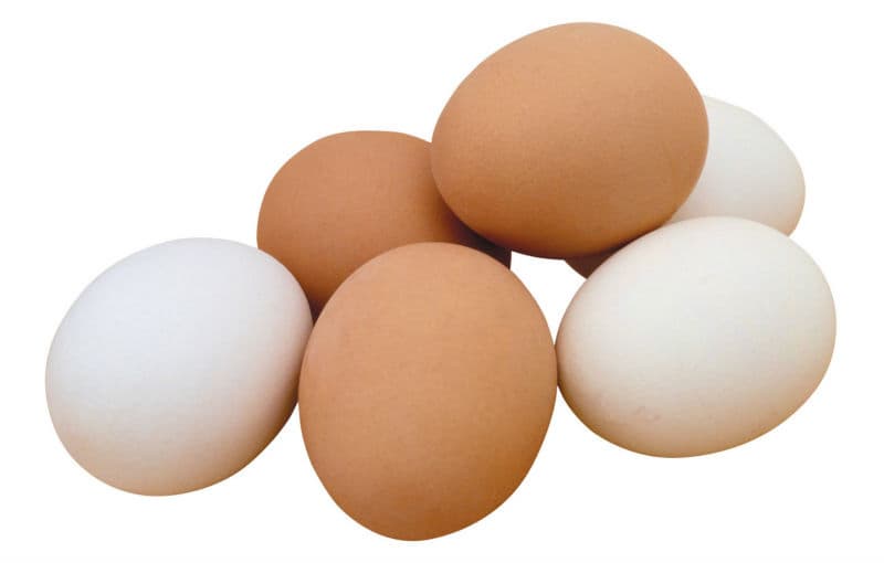 Farm fresh chicken table eggs _ fertile hatching eggs